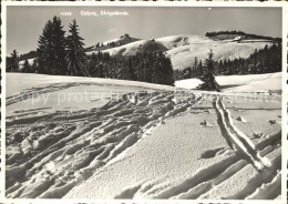 11640657 Gaebris Skigelaende Gaebris - Other & Unclassified