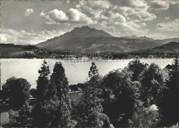 11640563 Luzern LU Pilatus Baeckereifachschule Richemont Luzern - Autres & Non Classés