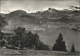 11640556 Buergenstock Honegg Vierwaldstaettersee Buergenstock - Autres & Non Classés