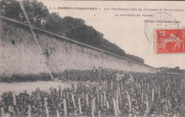 78 MESNIL-CARRIERES Les Vendanges Sous La Terrasse De St-Germain - Autres & Non Classés