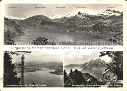 11640387 Buergenstock Hammetschwand Vierwaldstaedtersee Buergenstock - Sonstige & Ohne Zuordnung