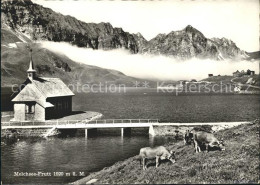 11640370 Melchsee-Frutt Kuehe Kapelle Melchsee-Frutt - Altri & Non Classificati