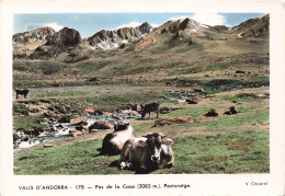 VALLS D ANDORRA - PAS DE LA CASA - PASTURATGE - Andorre