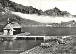 11640271 Melchsee-Frutt Kuehe Kapelle Melchsee-Frutt - Autres & Non Classés