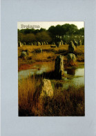 Carnac (56) : Les Alignements - Dolmen & Menhire