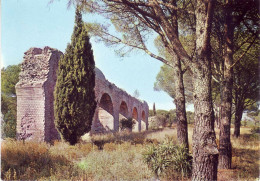 (83). Frejus. E 83.061.97.1.8422 Barrage Malpasset & E 83.061.97.1.8420 & 39.128 Aqueduc Romain - Frejus