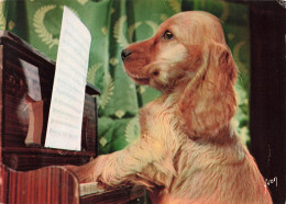 LES ANIMAUX DE JEAN TOURANE - PETIT CHIEN JOUANT DU PIANO - Chiens