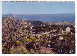 (83). Bormes Les Mimosas. 659 Chapelle Saint Francois Mairie & 75.06 Souvenir - Bormes-les-Mimosas