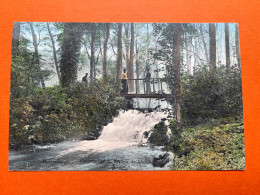 Cascade De La Rivière De IJssche-coloré@Huldenberg - Huldenberg