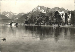 11639679 Thun Schloss Schadau Bluemlisalp Niesen Thun - Autres & Non Classés