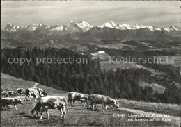 11639659 Luedernalp Kuehe Alpen Luedernalp - Autres & Non Classés