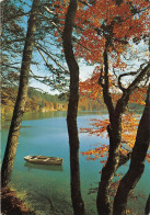 63 BESSE Et  SAINT ANASTAISE Le Lac PAVIN  Barque En Automne (Scan R/V) N°   80   \MT9107 - Besse Et Saint Anastaise