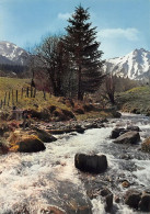 63 LE-MONT-DORE Le Puy De Sancy    Et La Dordogne   Au Printemps      (Scan R/V) N°   9   \MT9104 - Le Mont Dore