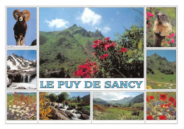 63 LE-MONT-DORE Le Puy De Sancy    (Scan R/V) N°   42   \MT9104 - Le Mont Dore