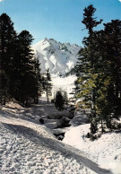 63 LE-MONT-DORE Champs De Neige Au Pied Du Sancy            (Scan R/V) N°   4   \MT9104 - Le Mont Dore