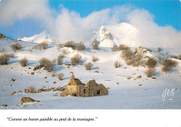 63 LE PUY-DE-SANCY Un Buron Au Pied De La Montagne   (Scan R/V) N°   43   \MT9103 - Le Mont Dore