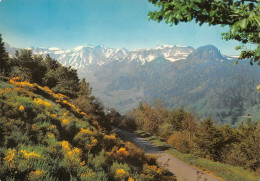 63 LE PUY-DE-SANCY  Route Du Col De La Croix Saint-Robert  (Scan R/V) N°   29   \MT9103 - Le Mont Dore