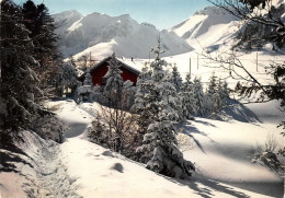 63 LE PUY-DE-SANCY  Le Chalet Du Club ALPIN  (Scan R/V) N°   41   \MT9103 - Le Mont Dore