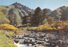 63 LE PUY-DE-SANCY  La Dordogne à Sa Source   (Scan R/V) N°   26   \MT9103 - Le Mont Dore