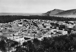 Bou Saâda Algérie Vue Générale De La Ville  (Scan R/V) N°   57   \MT9102 - Konstantinopel