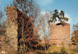 63  Viverols Ruines Du Chateau Féodal La Tour Aux Pins    (Scan R/V) N°   12   \MT9113 - Ambert