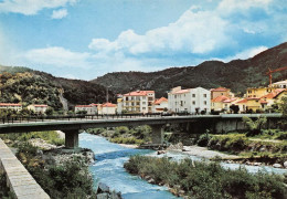 66 Amélie-les-Bains-Palalda  Le Pont De La Rivière Tech   (Scan R/V) N°   40   \MT9125 - Ceret