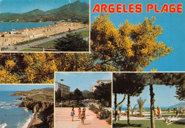 66 Argelès-sur-Mer  Multivue (Scan R/V) N°   28   \MT9124 - Argeles Sur Mer