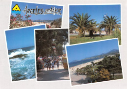 66 Argelès-sur-Mer  Divers Vues (Scan R/V) N°   16   \MT9124 - Argeles Sur Mer