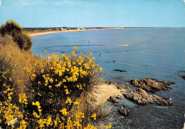 66  Argelès-sur-Mer  Le RACOU  Les Rochers La Plage  (Scan R/V) N°   27   \MT9123 - Argeles Sur Mer