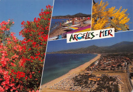 66  Argelès-sur-Mer  La Plage Vue Panoramique  (Scan R/V) N°   46   \MT9123 - Argeles Sur Mer