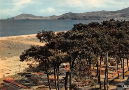 66  Argelès-sur-Mer  La  Plage Et Les Pins  (Scan R/V) N°   15   \MT9123 - Argeles Sur Mer