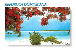 MAR CARIBE  Républica Dominicana REPUBLIQUE DOMINICAINE   (Scan R/V) N°   56   \MT9120 - Dominican Republic