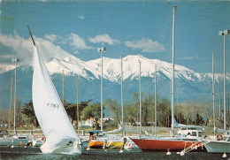 66  Saint-Cyprien  Les Voiliers Et Le Canigou      (Scan R/V) N°   7   \MT9118 - Saint Cyprien