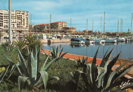 66  Saint-Cyprien  Le Port De Plaisance      (Scan R/V) N°   9   \MT9118 - Saint Cyprien