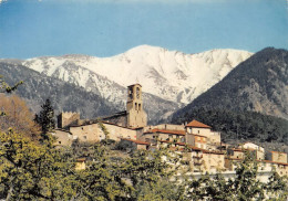 66  Vernet-les-Bains Vue Générale De La Station   N° 41  \MT9117 - Prades