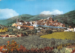 66  MOSSET Vue Générale                 (Scan R/V) N°   5   \MT9132 - Prades