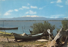 66 Prades Le PIC Du CANIGOU Les étangs  (Scan R/V) N°   16   \MT9130 - Prades