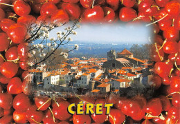 66  Céret  Les Cerises  (Scan R/V) N°   33   \MT9130 - Ceret