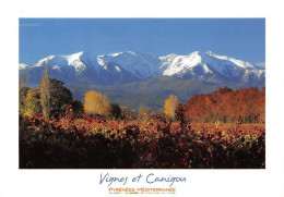 66 Prades Le PIC Du CANIGOU   Et Les Vignes             (Scan R/V) N°   2   \MT9130 - Prades