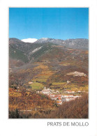66 Prats-de-Mollo-la-Preste  Vue Générale Panoramique  (Scan R/V) N°   25   \MT9129 - Ceret