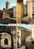 66 Prats-de-Mollo-la-Preste  Rues Du Village (Scan R/V) N°   38   \MT9129 - Ceret