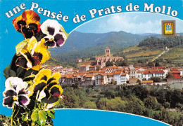 66 Prats-de-Mollo-la-Preste  Une Pensée   (Scan R/V) N°   22   \MT9129 - Ceret