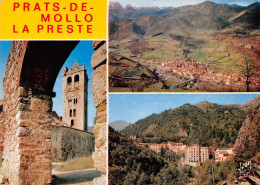 66 Prats-de-Mollo-la-Preste  Divers Vues (Scan R/V) N°   34   \MT9129 - Ceret