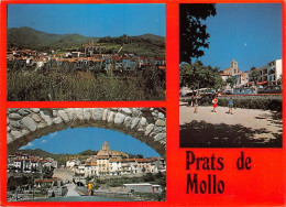 66 Prats-de-Mollo-la-Preste  (Scan R/V) N°   35   \MT9129 - Ceret