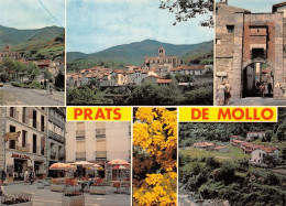 66 Prats-de-Mollo-la-Preste  (Scan R/V) N°   36   \MT9129 - Ceret