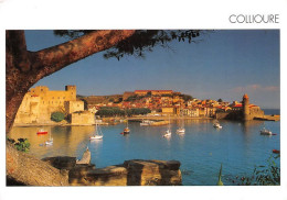 66 Collioure  Le Port Catalan     (Scan R/V) N°   8   \MT9128 - Collioure