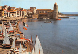 66 Collioure  Le Club Nautique Les Voiliers  (Scan R/V) N°   16   \MT9128 - Collioure