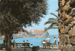 66 Collioure  La Baie Et L'église    (Scan R/V) N°   10   \MT9128 - Collioure