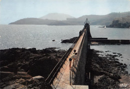 66 Collioure  Brume Sur La Jetée  (Scan R/V) N°   13   \MT9128 - Collioure