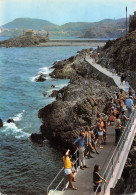 66 COLLIOURE  Vue De La Moulade La Chapelle  (Scan R/V) N°   15   \MT9127 - Collioure